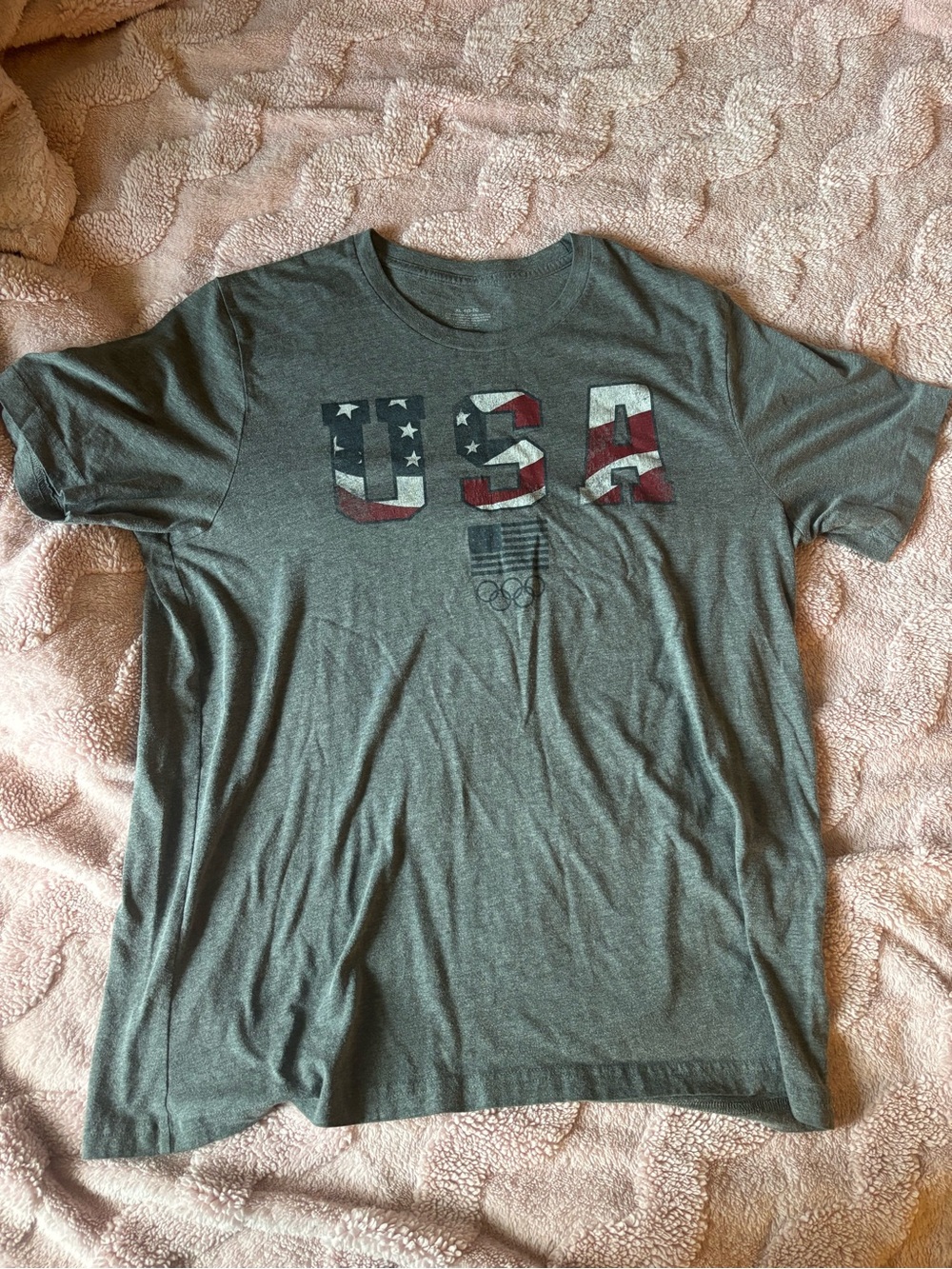 USA Olympics Graphic Men's T‑Shirt in Heather Grey
